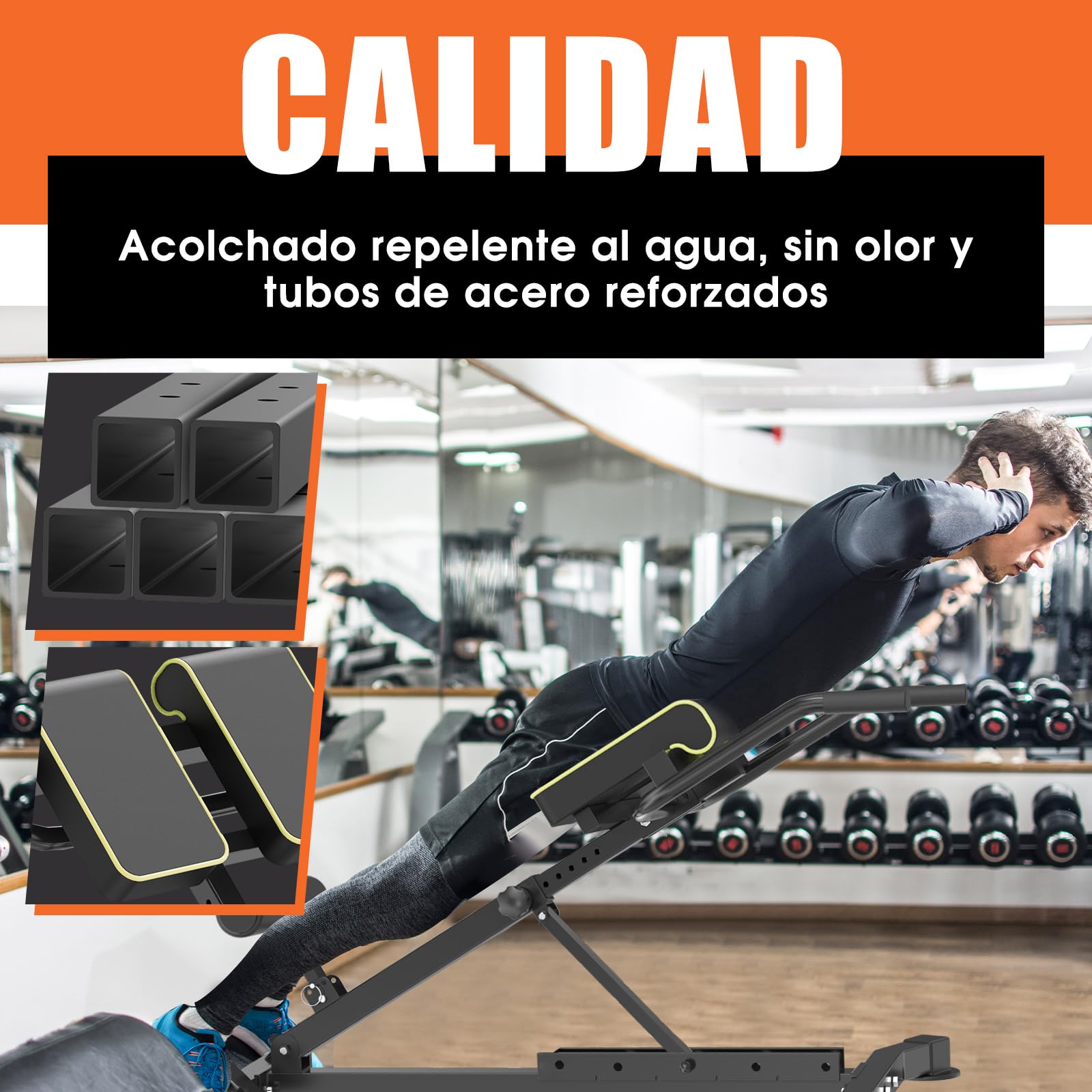 DH FitLife 5 en 1 Silla Romana Plegable, Banco de hiperextensión y de musculación, Altura y respaldo regulables, Soporta 150kg, Multifunción para entrenamiento de abdominales y espalda en casa