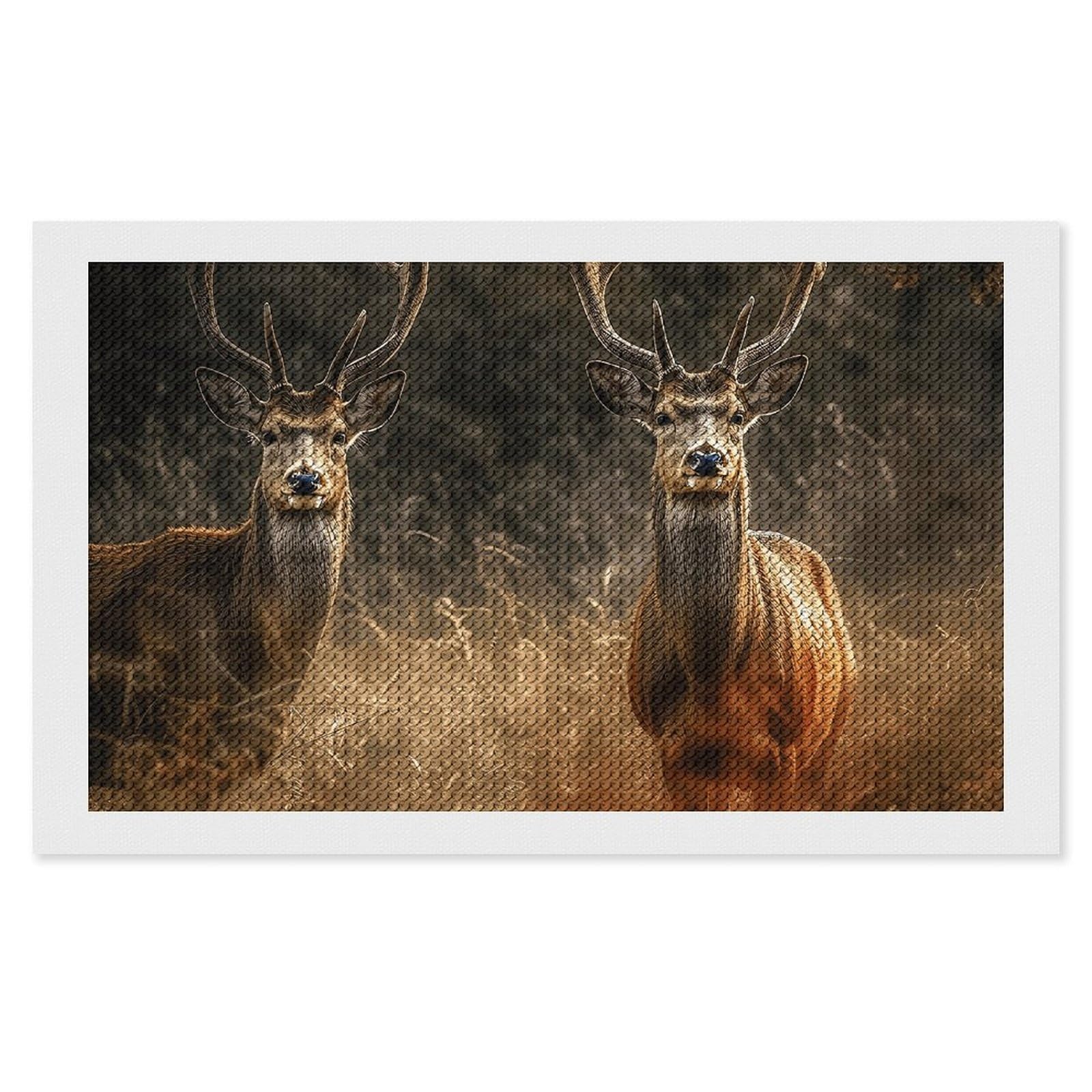 NONHAI Diamond Painting Kits for Adults - DIY Diamond Art Kits for Beginners - Full 5D Paint Drill Diamond Dots Paintings- Deer in Meadow Diamonds Pictures Gem Art and Craft Wall Decor 12"x20"