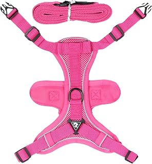 Cat Harness, Cat Harness and Leash, Reflective Cat Walking Harness, Cat Harness and Leash for Walking, Adjustable Kitten Vest Harness, Leak Proof | kattsele och koppel för promenader, justerbar kattunge-västsele, läckagesäker