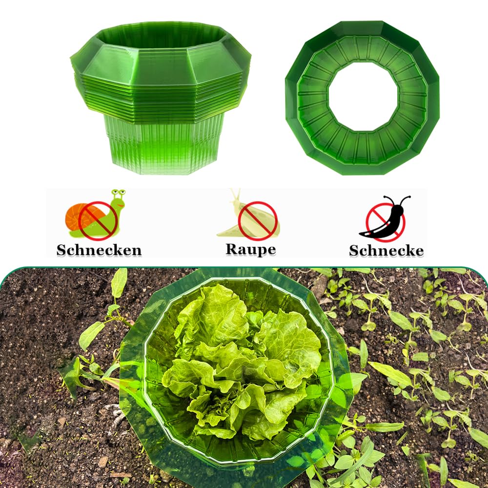Cuello de Caracol,12 Piezas Protección contra Caracoles,Anillo de Protección contra Caracoles,sin Productos Químicos,Cuello de Plástico para Plantas Anillos de Ensalada,Barrera de Caracol (verde-12)