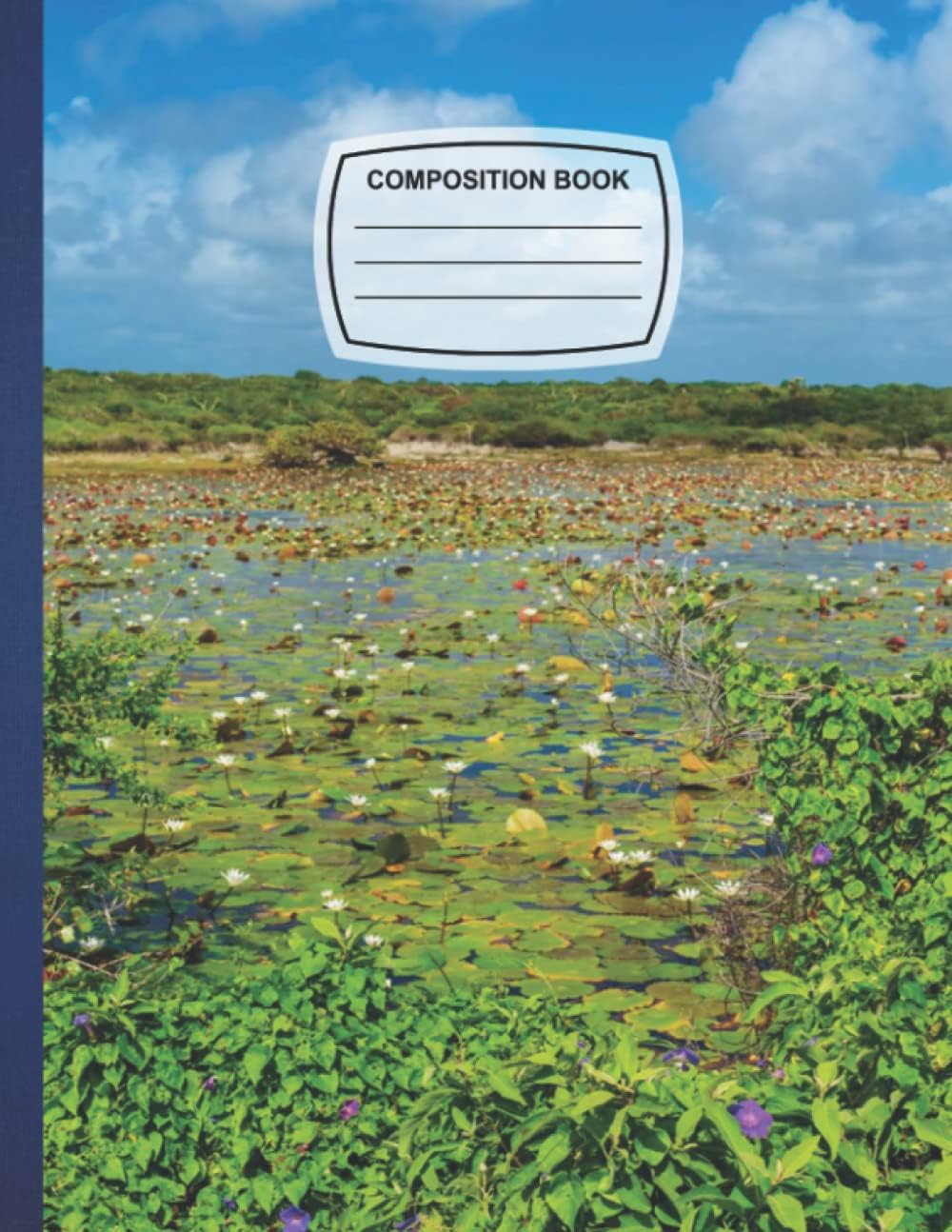Composition Notebook: Liros en Cozumel Blank Wide Ruled Paper Notebook Matte Wide Lined Workbook Journal for Kids Teens Students Girls Boys Cute.