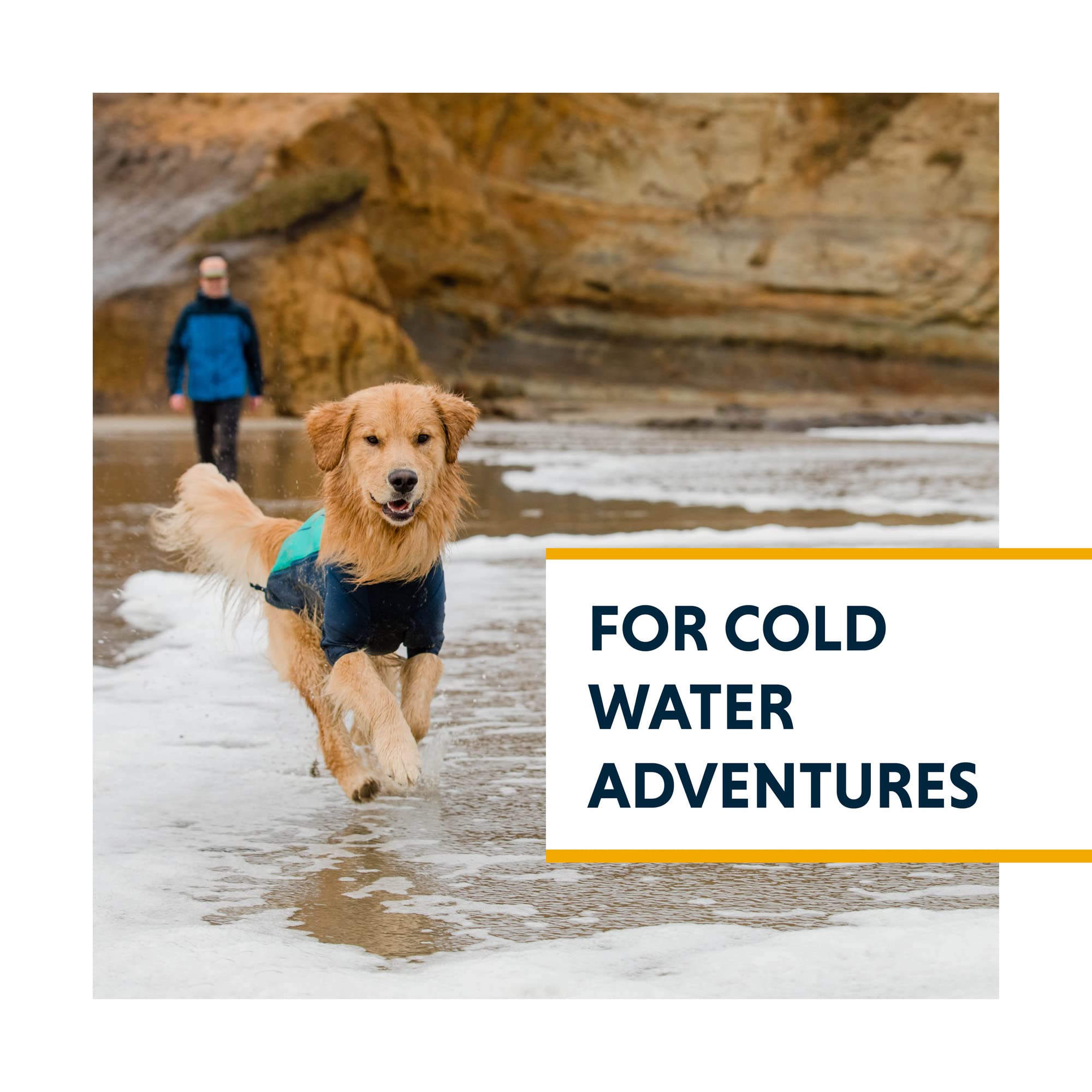 Can You Give A Puppy Cold Water