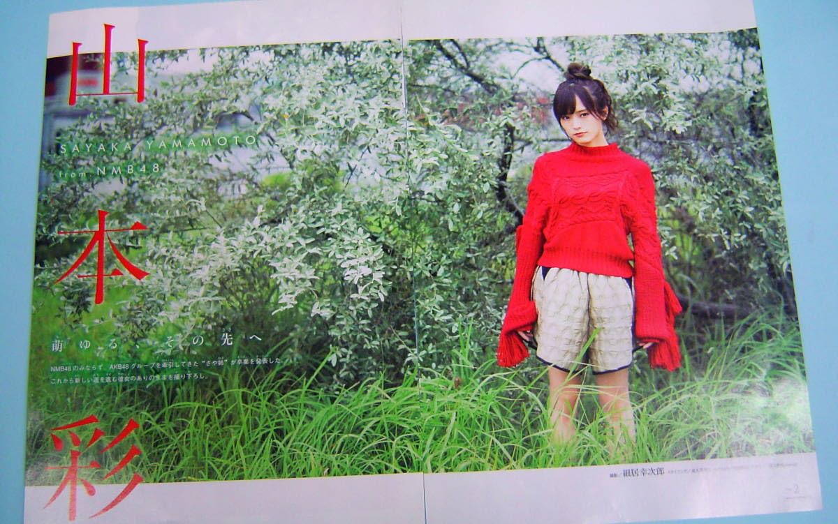 Amazon.co.jp: 山本彩 水着グラビア BIG＆リバーシブルポスター雑誌