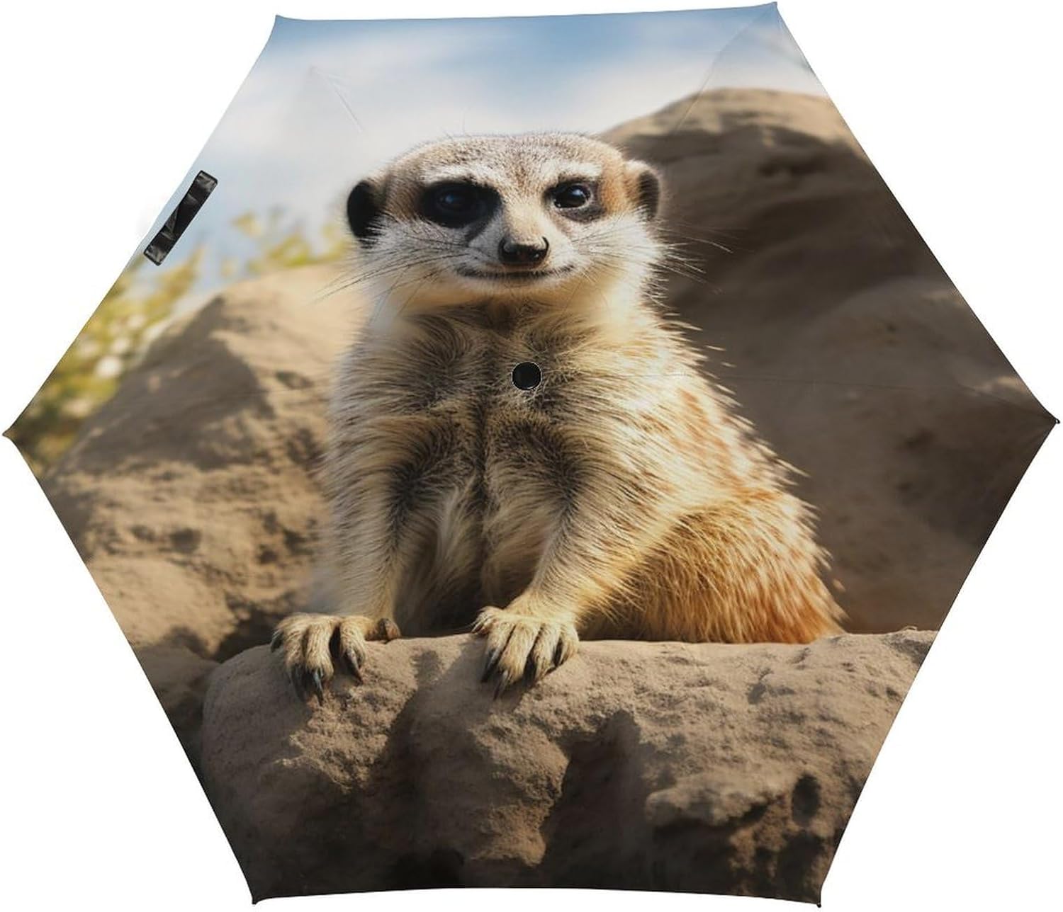 Meerkat Animal Printed Exterior 5 Fold Umbrella,Windproof Travel Umbrella for Sun Protection, Small Portable,Compact Umbrellas for Travel, Purse Or Backpack
