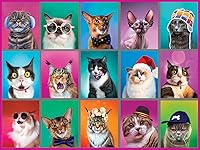 Vista 1 de White Mountain Puzzles - Retratos de gatos - Rompecabezas de 500 piezas