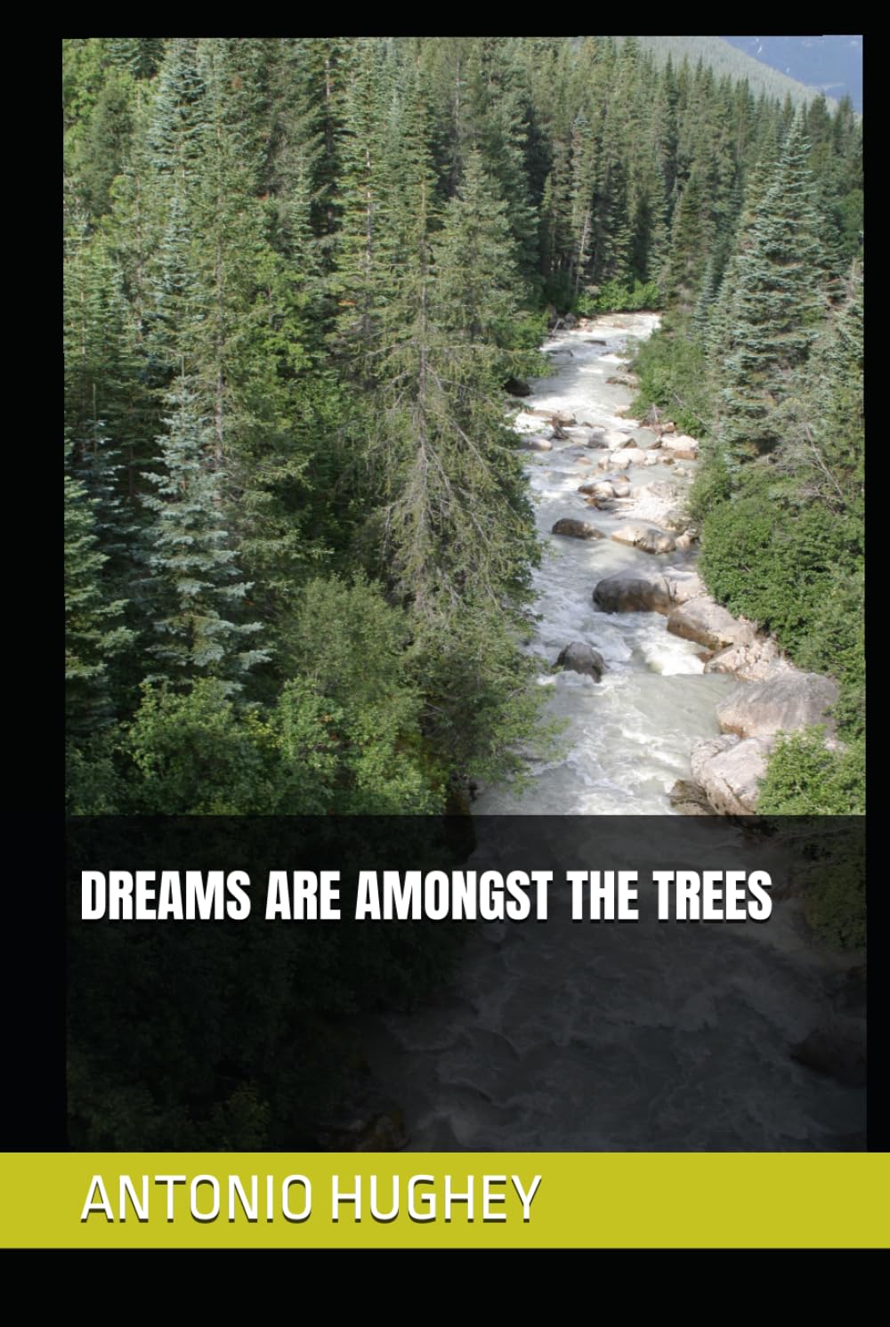 DREAMS ARE AMONGST THE TREES