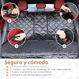Ver la foto 8