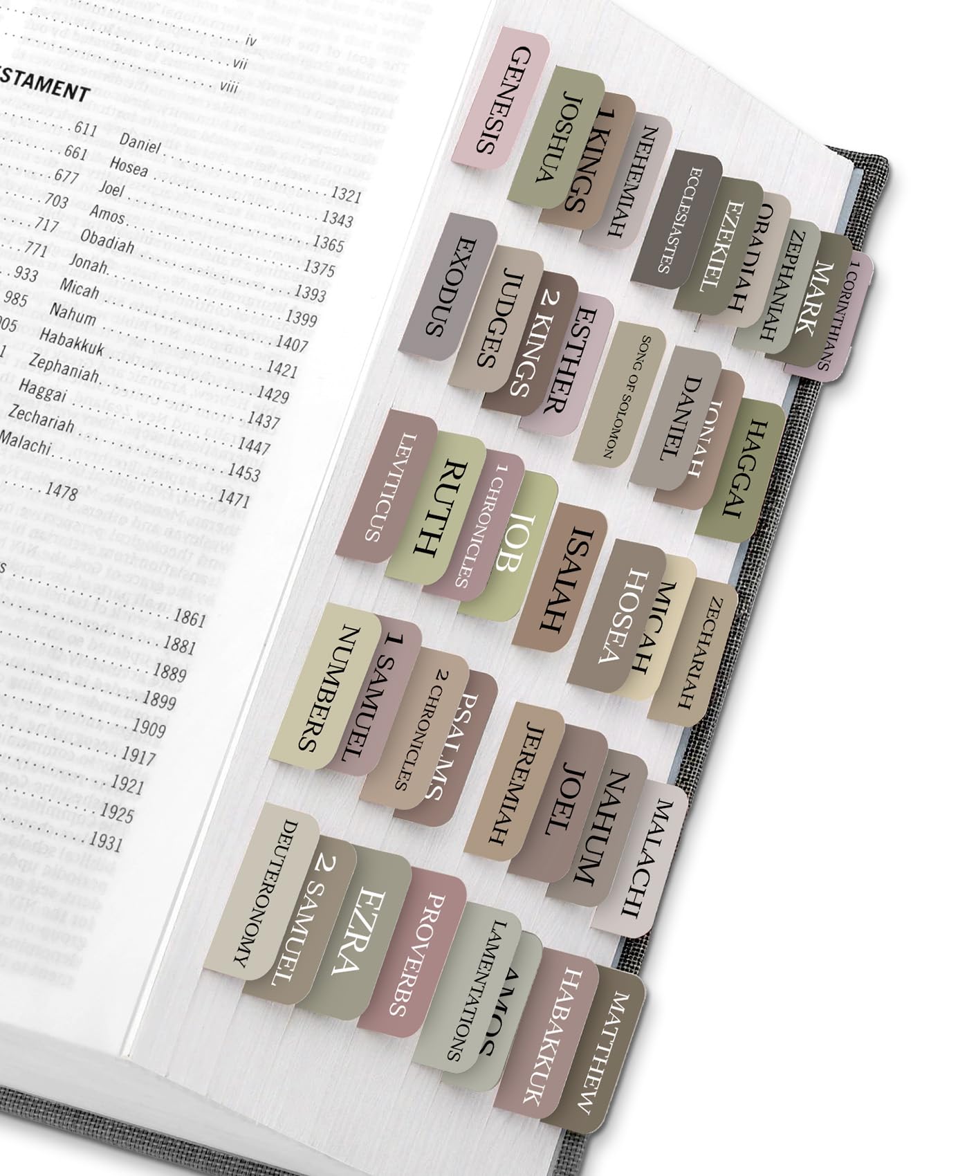 Taja Bible Tabs, 75 Large Print Index Tabs for Women &amp; Men