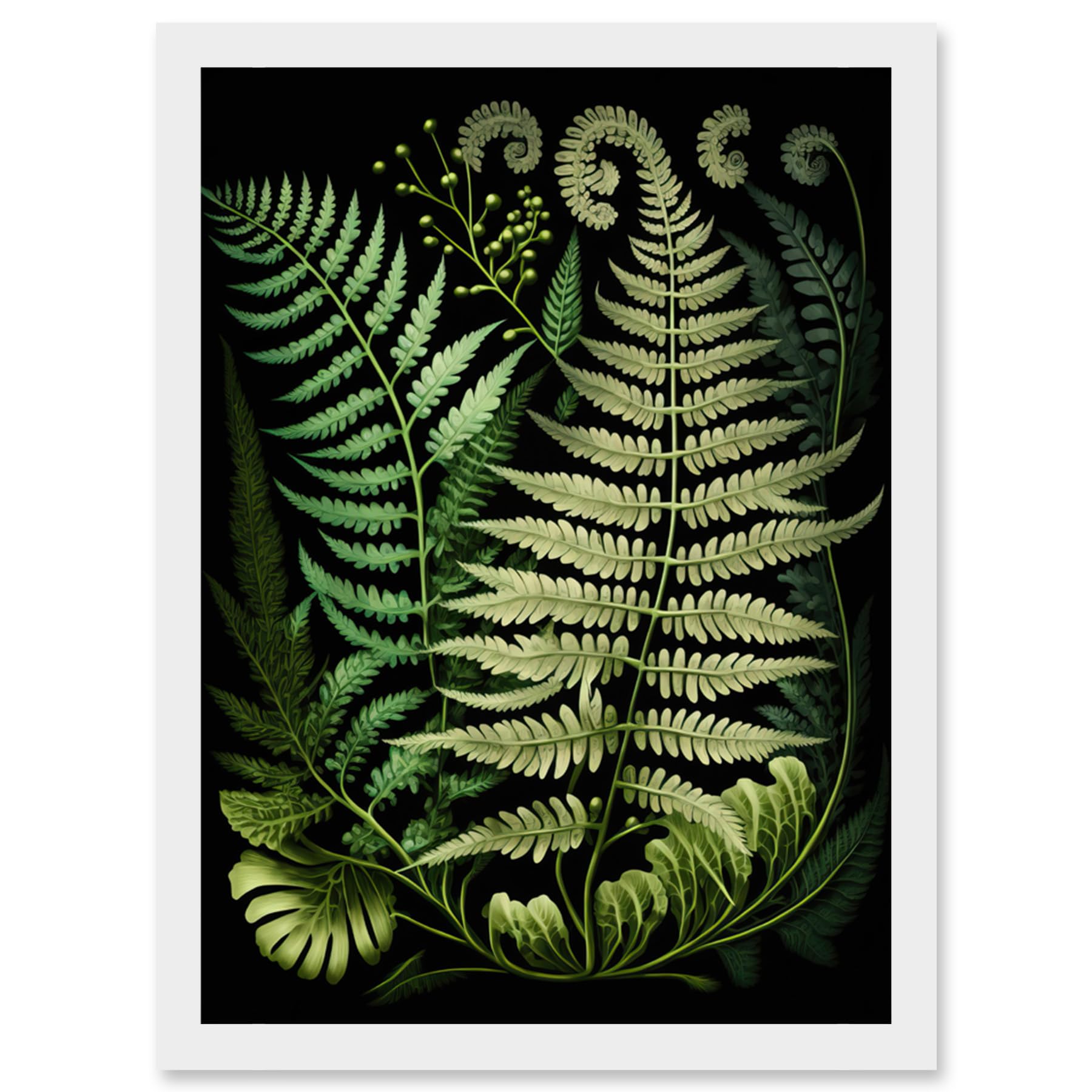Artery8 Ernst Haeckel Style Fern Fronds Illustration Artwork Framed Wall Art Print A4