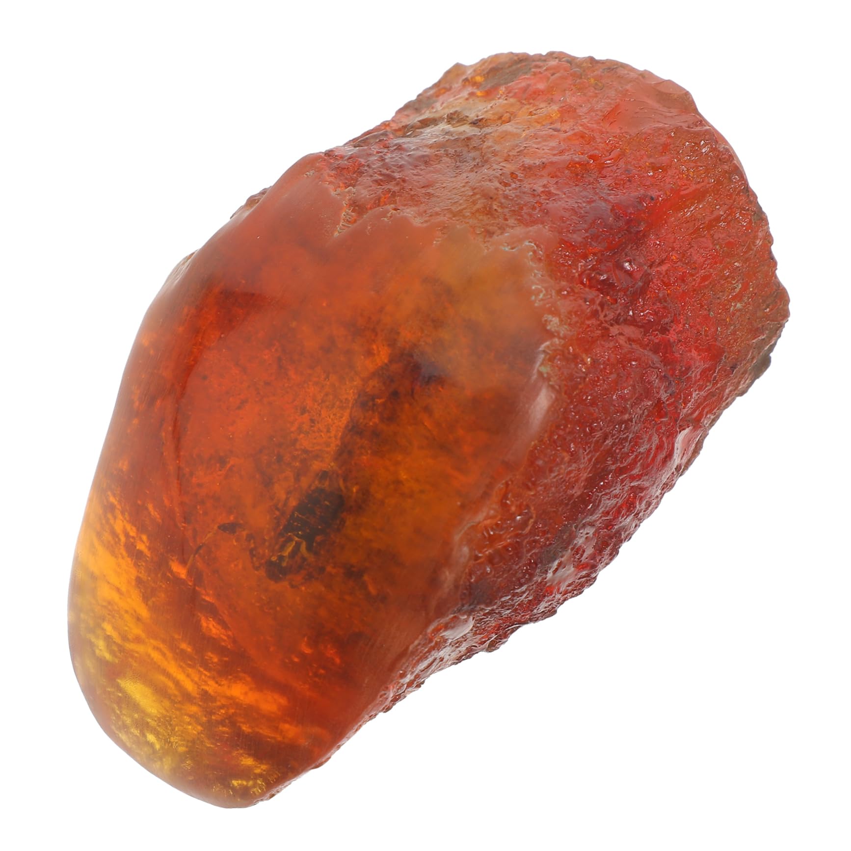 CATIEBYE Amber Sample Insect Stone Specimen Amber Insect Specimen Insect Adornment Insect Sample Amber Adornment Home Decor Insect Decor Amber Stone Specimen Insect Ornament