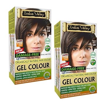 Indus Valley Gel Color For Hair, 100% Damage-Free, No hydrogen Peroxide - No Increase in greys, No ammonia - No dryness, No hair-fall, 100% no increase in greys, Enchanting aroma of fresh oranges, Organic Certified Ingredients, Dermatologic Recommended, 20g + 200ml - 4.0 Medium Brown (Pack of 2)