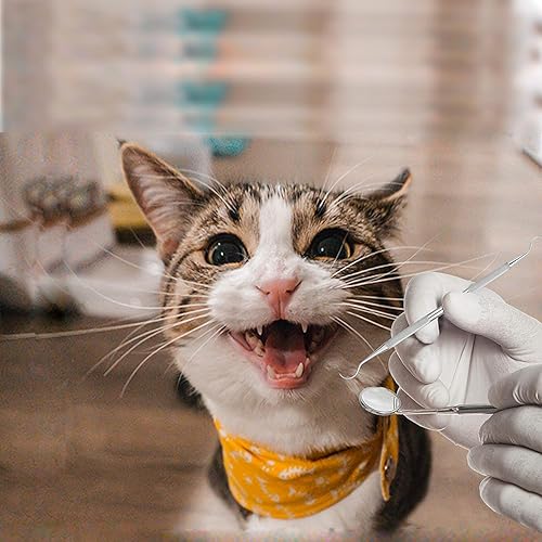 Vista 3 de HOKIN Removedor de placa para limpieza de dientes, kit de cuidado dental, púas dentales de acero inoxidable para hombres, mujeres, niños y cuidado