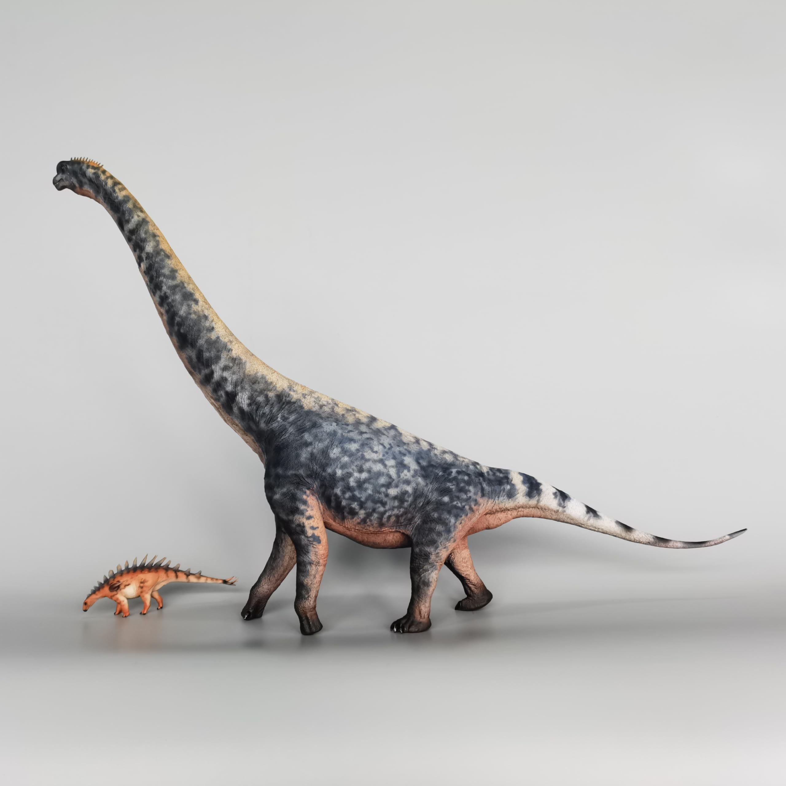 XINPANYIAN HAOLONGGOOD Brachiosaurus Prehistoric Animal Dinosaur Model with Huayangosaurus Figure (Color A)