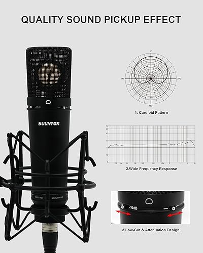 Miniatura 3 de Micrófono XLR, micrófono de condensador profesional con diafragma grande de 1.339 in, micrófono de grabación de estudio cardioide, computadora para