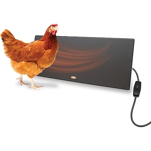 Cozy Products Cozy Coop, Chicken Coop Heater, Flat-Panel Radiant Heater with Thermal Protector, Energy-Efficient, Easy to Install, Ideal for Small Animals, 200 Watts, Black