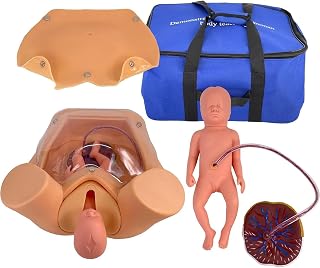 Childbirth Simulator Life Size Pelvic Anatomical Model Delivery Maternity Teaching Mold Includes Models of Uterus Amniotic Sac Pelvis and Placenta Umbilical for Gynecology Teaching