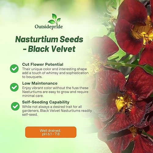 Miniatura 3 de Outsidepride Tropaeolum Nasturtium Black Velvet Escalada Floración, Plantas Enanas - 400 Semillas