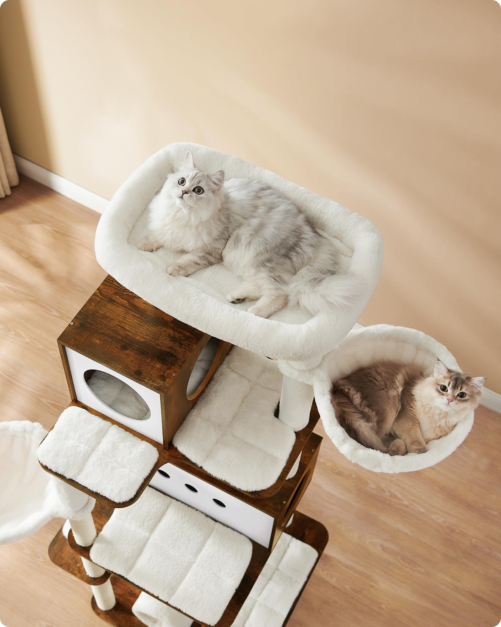 Ordora XXL Katzenkratzer Lounge – 80 Cm Lange 2-in-1 Kratzunterlage & Bett Aus Sisal & Massiv-Eiche