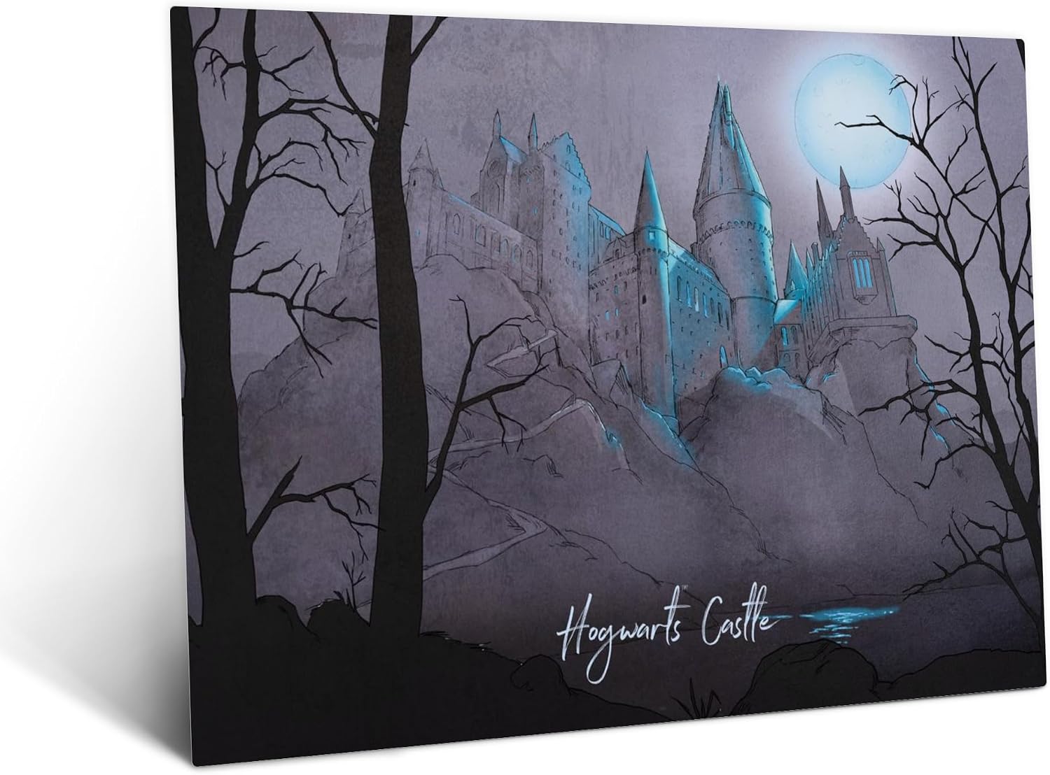 Displate Metal Poster Wizarding World Dark Night Magnetic Mount L