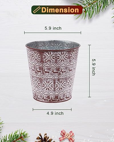 Miniatura 8 de vensovo Macetas rústicas de metal de 6 pulgadas  6 macetas galvanizadas medianas beige con orificio de drenaje y tapón de goma, macetas de metal