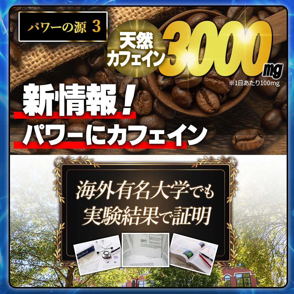Amazon | 龍起丸 りゅうきがん 30包/30日分【公式】 マカ9000mg 100倍