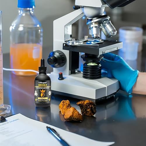 Miniatura 8 de LIFE CYKEL Extracto de hongo Chaga con ciruela Kakadu, hongos 100% orgánicos, suplemento de apoyo inmunológico, altos antioxidantes, vitamina C,