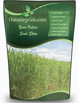 Outsidepride Switchgrass Seed - 25 lbs. Perennial Hardy, Drought & Flood Tolerant Native Grass Seed Ideal Fast-Growing Grasses for Erosion Control, Wildlife Forage & Food Plots, Thrives in Poor Soil