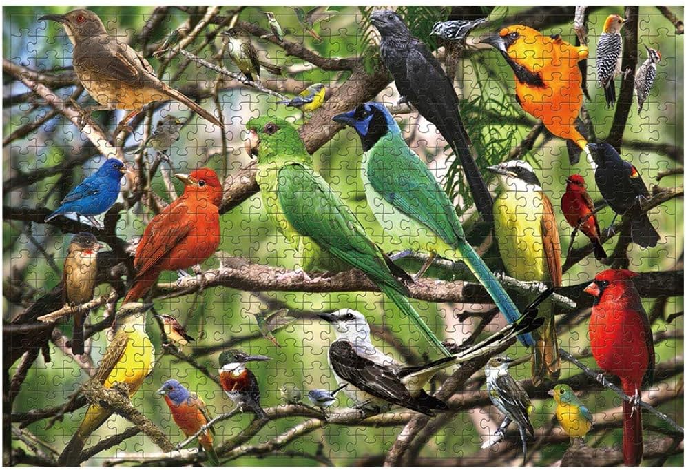 Dempiire 678000 Large Toys Puzzles Game 500 Puzzle Piece