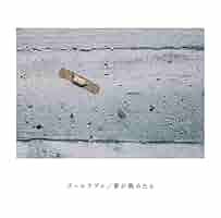 ズーカラデル CDセット ズーカラデル CDセット Amazon.co.jp: ズーカラデル: ミュージック