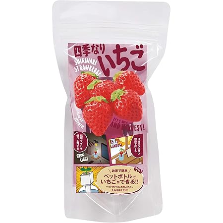 Amazon Co Jp 聖新陶芸 栽培キット グリーントイ 四季なりいちご Gd ピンク ホーム キッチン