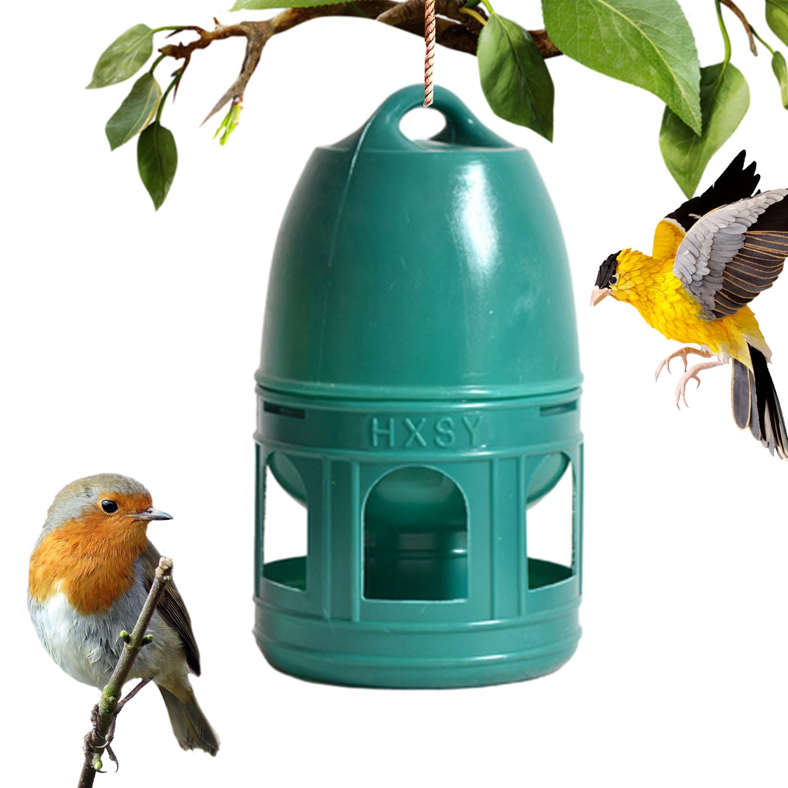 Distributeur d'eau pour Pigeons, Abreuvoir pour Pigeons | Distributeur de mangeoire à Oiseaux pour récipient à Eau pour - Poignée supérieure, Large Ouverture, Fournitures pour Animaux
