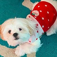 Vista 2 de CHBORCHICEN Suéteres clásicos para perros, prendas de punto de cuello alto para invierno, ropa cálida para cachorros, lindo suéter de fresa y Rojo1