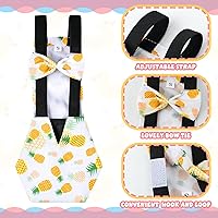 Vista 7 de 6 piezas de pañales para pollos para gallinas, gallos, patos reutilizables lavables con lazada para patitos, gallinas, gansos, aves ajustables