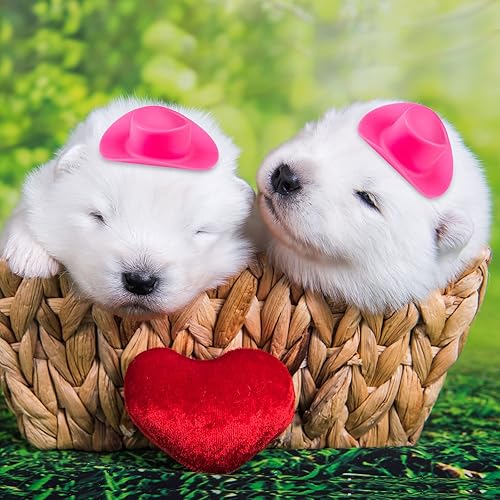 Miniatura 4 de 20 mini sombreros de vaquero rosa, mini sombrero de vaquera occidental de plástico para decoración de casa de muñecas