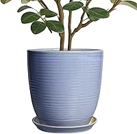 Vista 19 de Macetas de cerámica de 6 pulgadas para plantas, macetas de cerámica con orificio de drenaje y platillo, maceta para plantas de interior, maceta