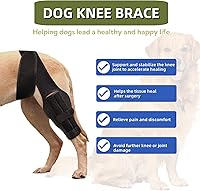Vista 2 de Rodillera para perro para desgarro del ligamento cruzado anterior o trasero, displasia de cadera, artritis, lesiones de ligamentos, soporte