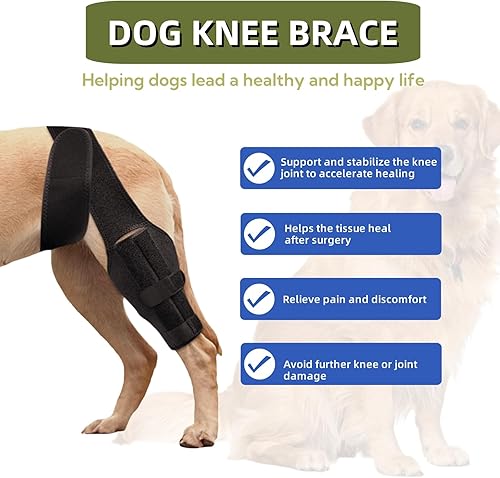 Miniatura 2 de Rodillera para perro para desgarro del ligamento cruzado anterior o trasero, displasia de cadera, artritis, lesiones de ligamentos, soporte de