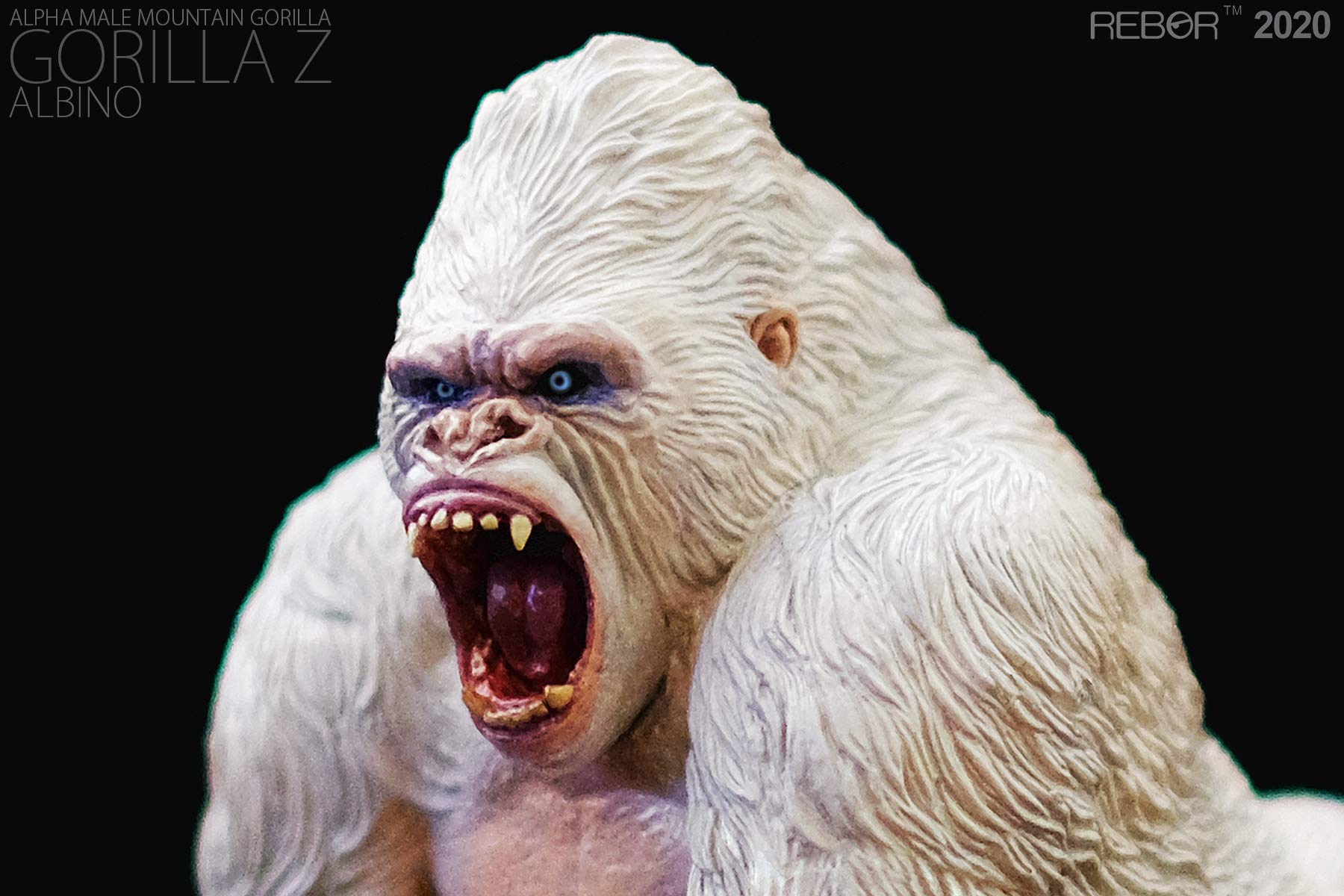 ゴリラ フィギュア リアル造形 Amazon | Rebor 2020 GORILLA オス ゴリラ 霊長目ヒト科 野生動物
