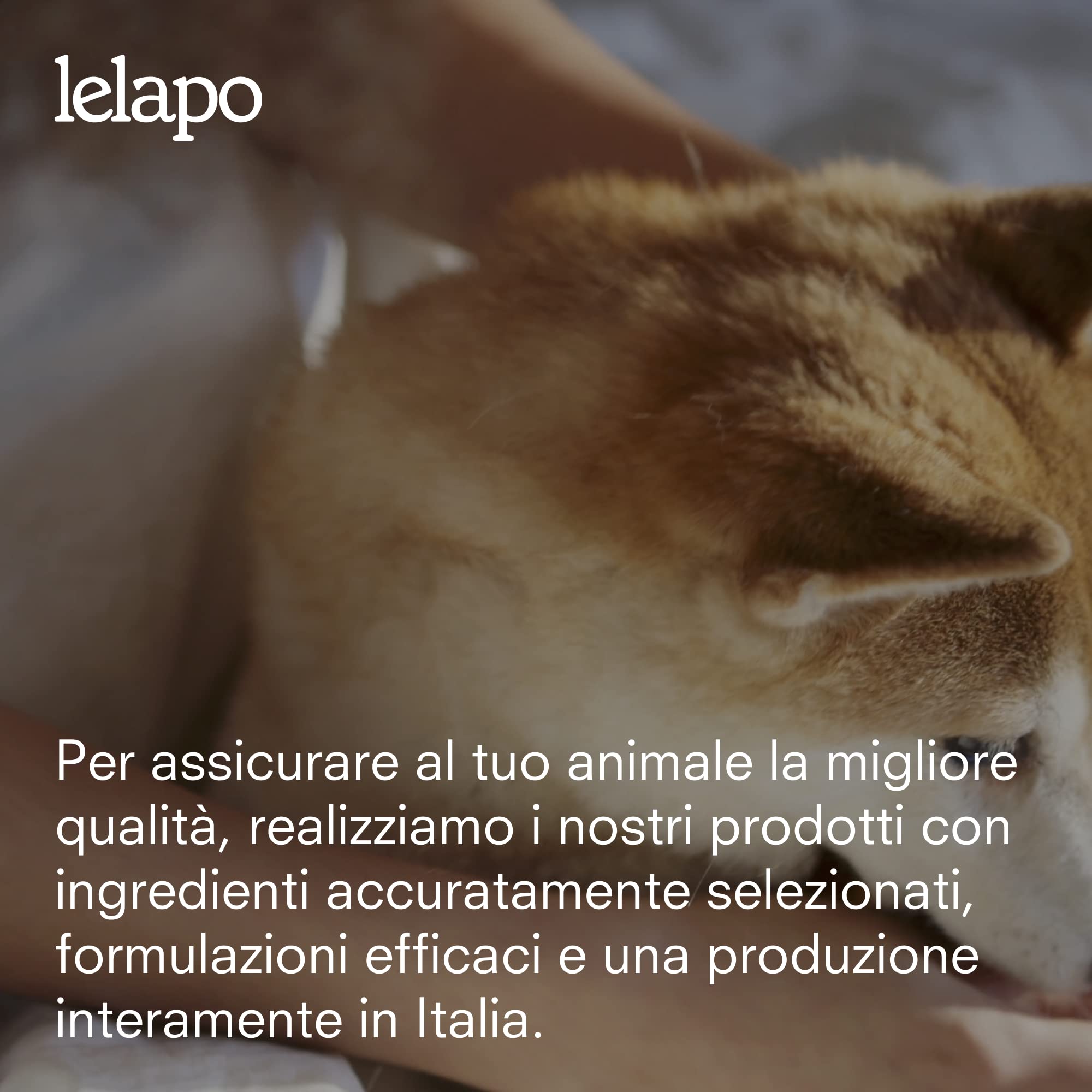 Artri+ Integratore Articolazioni Cane 90 Capsule Appetibili Mangime Complementare 500 mg Glucosamina + 280 mg Condroitina Con Artiglio del Diavolo e Boswellia Made in Italy