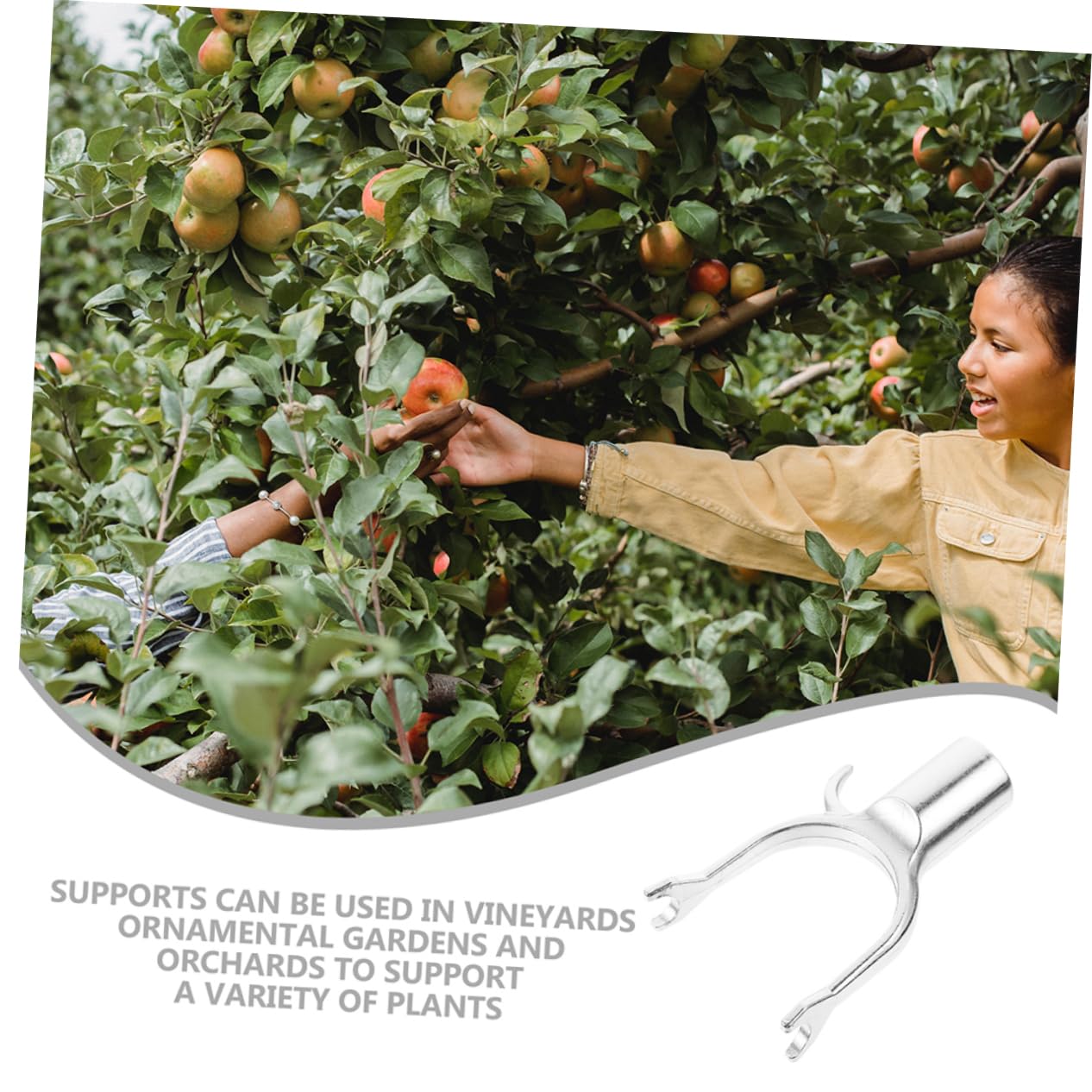 15 Stück Obstbaumschutzhilfe aus Aluminiumlegierung Leichte und Harte Astgabel für Garten Obstbaumstütze und Pflanzenunterstützung im Freien