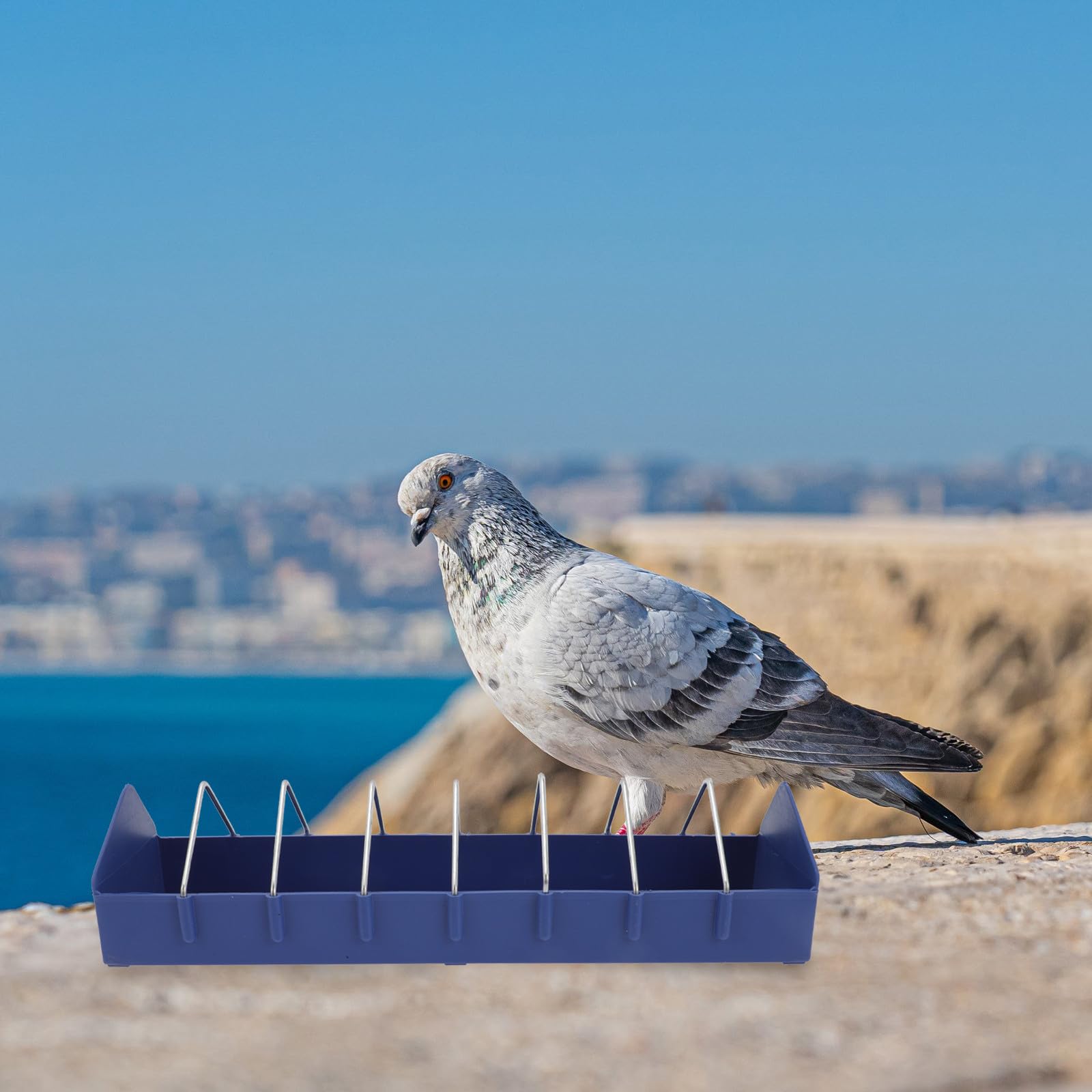 Mangeoire Nettoyer PP Bleu Facile pour 2pcs en Plastique Pigeons Remplir à Cages de Petits Oiseaux et Perruches