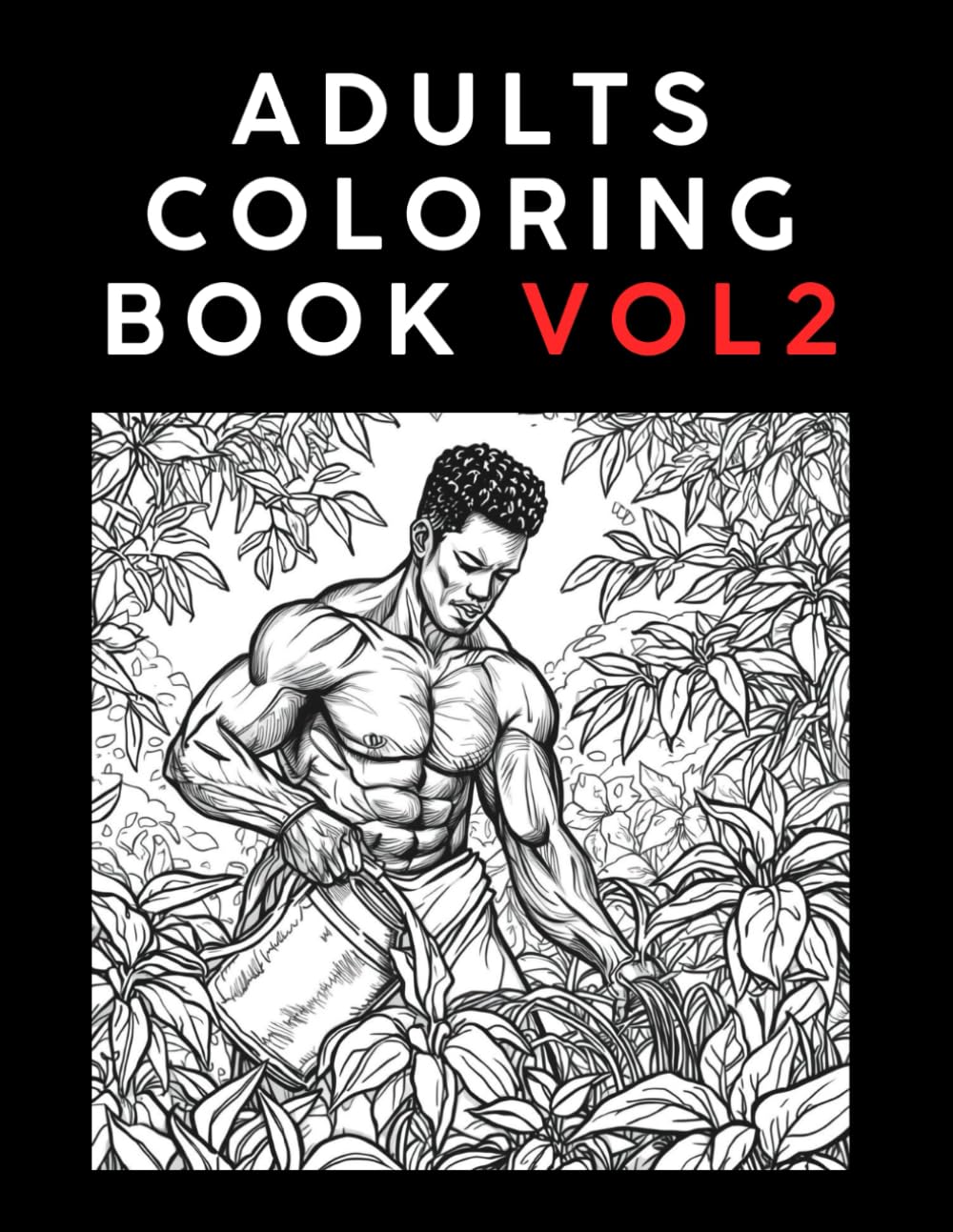 Adults Coloring Book Vol. 2: For Relaxation, Stress and Anxiety Relief (Adults Coloring Book, for Relaxation Anxiety and Stress Relief)