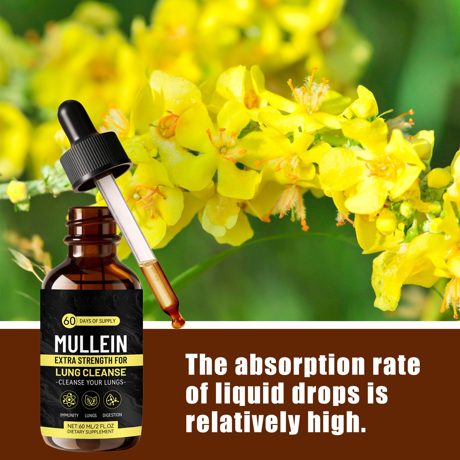 Mullein Tropfen Königskerze Extrakt, Lungenreinigungs Tropfen, Natürlich Mullein Leaf Extract Drops, zur Lungenreinigung, Schnelle Absorption für Männer und Frauen (60 ml)