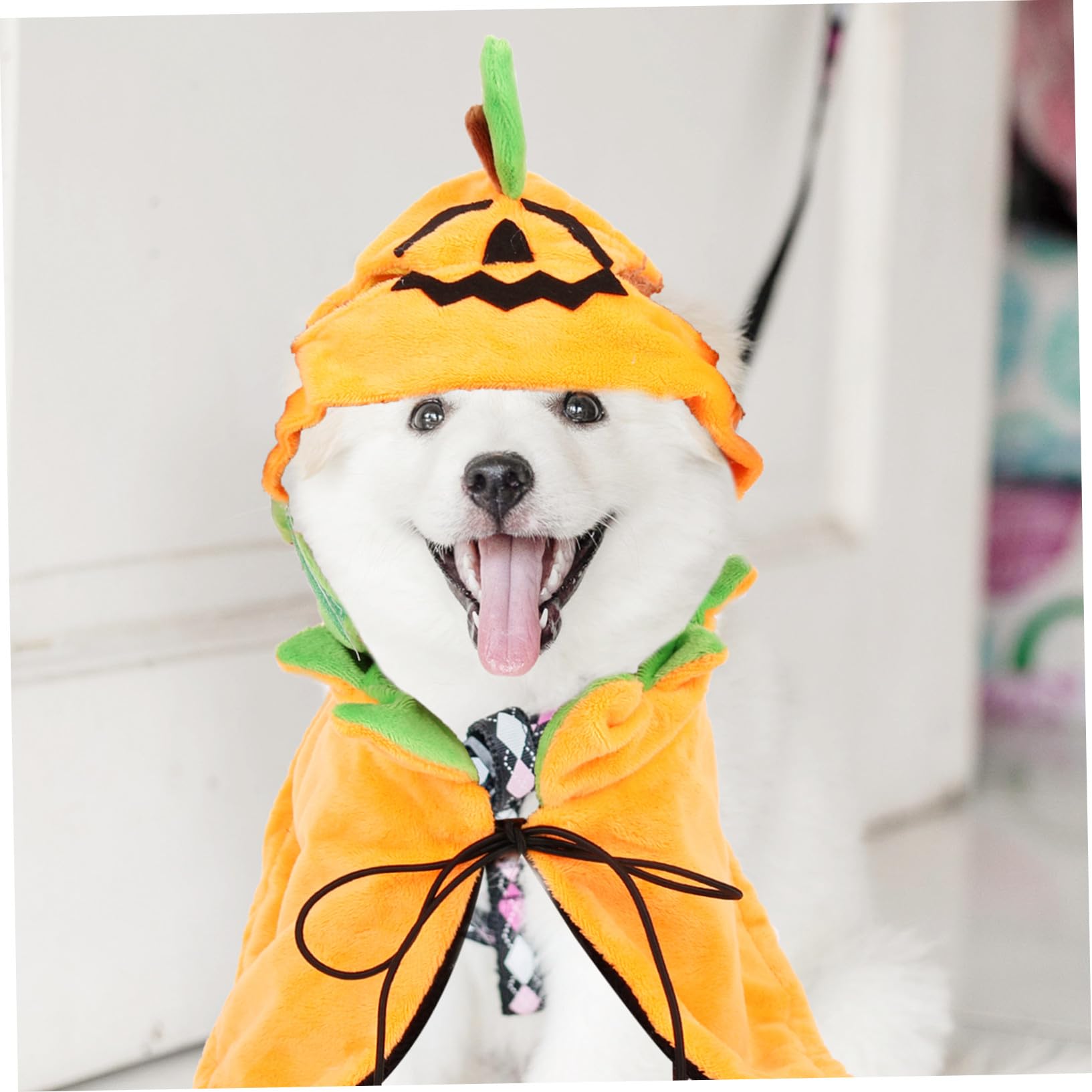POPETPOP 3 Set Mantello Per Animali Domestici Vestiti Di Zucca Per Cani Costume Da Cane Mantello Per Cappello Da Compagnia Animale Domestico a Doppia Faccia Cappello Per Gatto Peluche