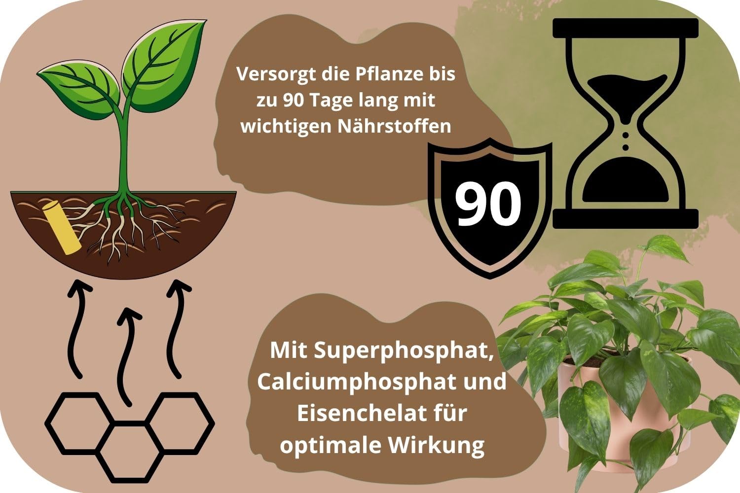 Düngestäbchen für Grünpflanzen – 300 Stück – Langzeitdünger für Monstera, Ficus, Palmen & mehr – 90 Tage Wirkung – Für kräftige, sattgrüne Blätter KALINOVA
