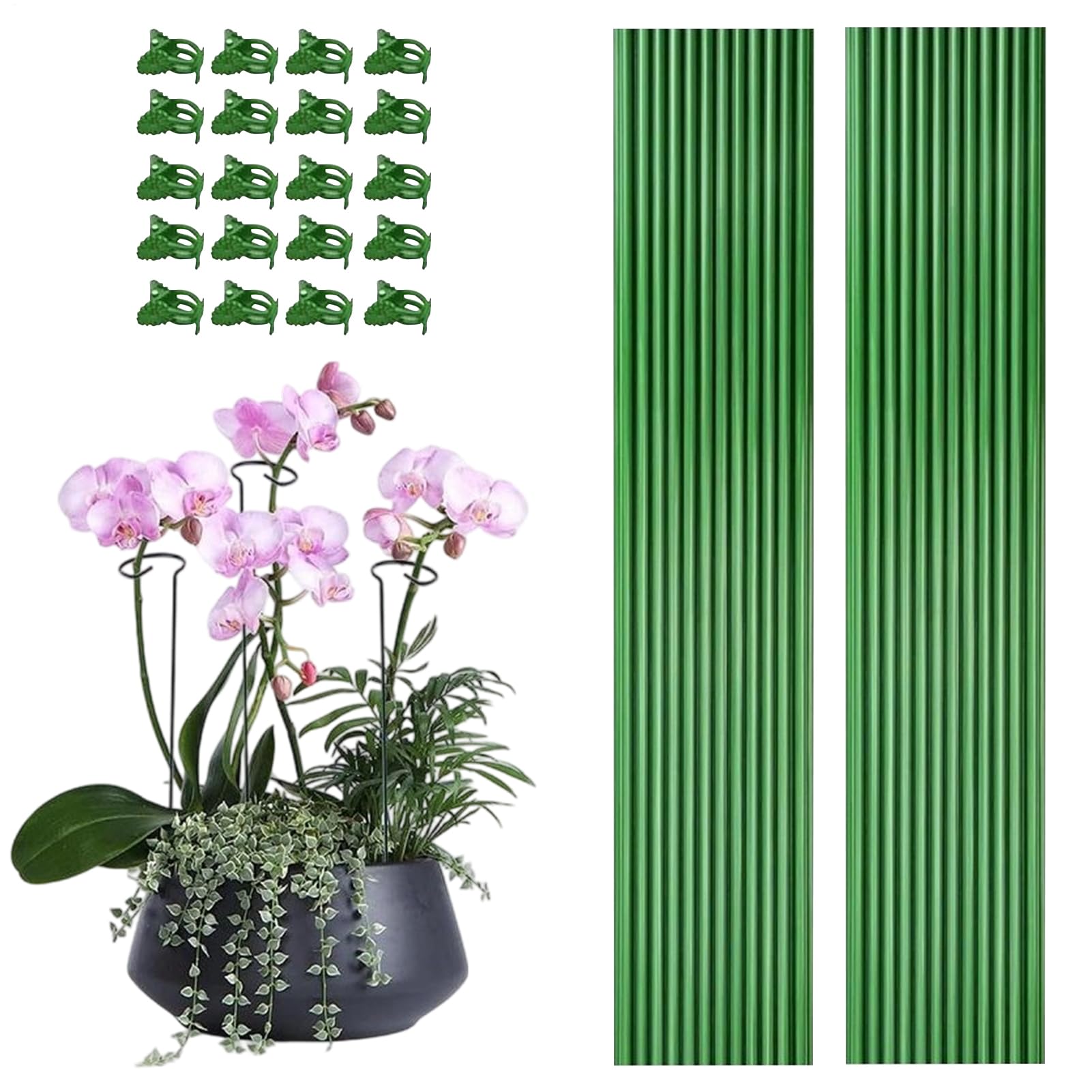 Plant supports, garden poles, plant supports with clamps, flexible perennial supports for attachment for peppers, strawberries