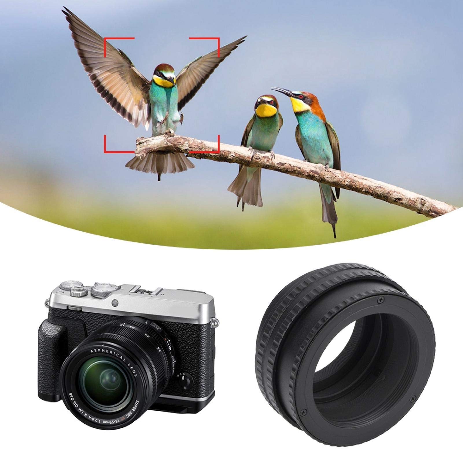 Helicoid-Adapter, M42-zu-M42-Makro-Helicoid-Adapter 17-31 mm Verstellbarer Fokussier-Helicoid-Objektivadapter M42-Helicoid-Adapter für begeisterte Fotografen