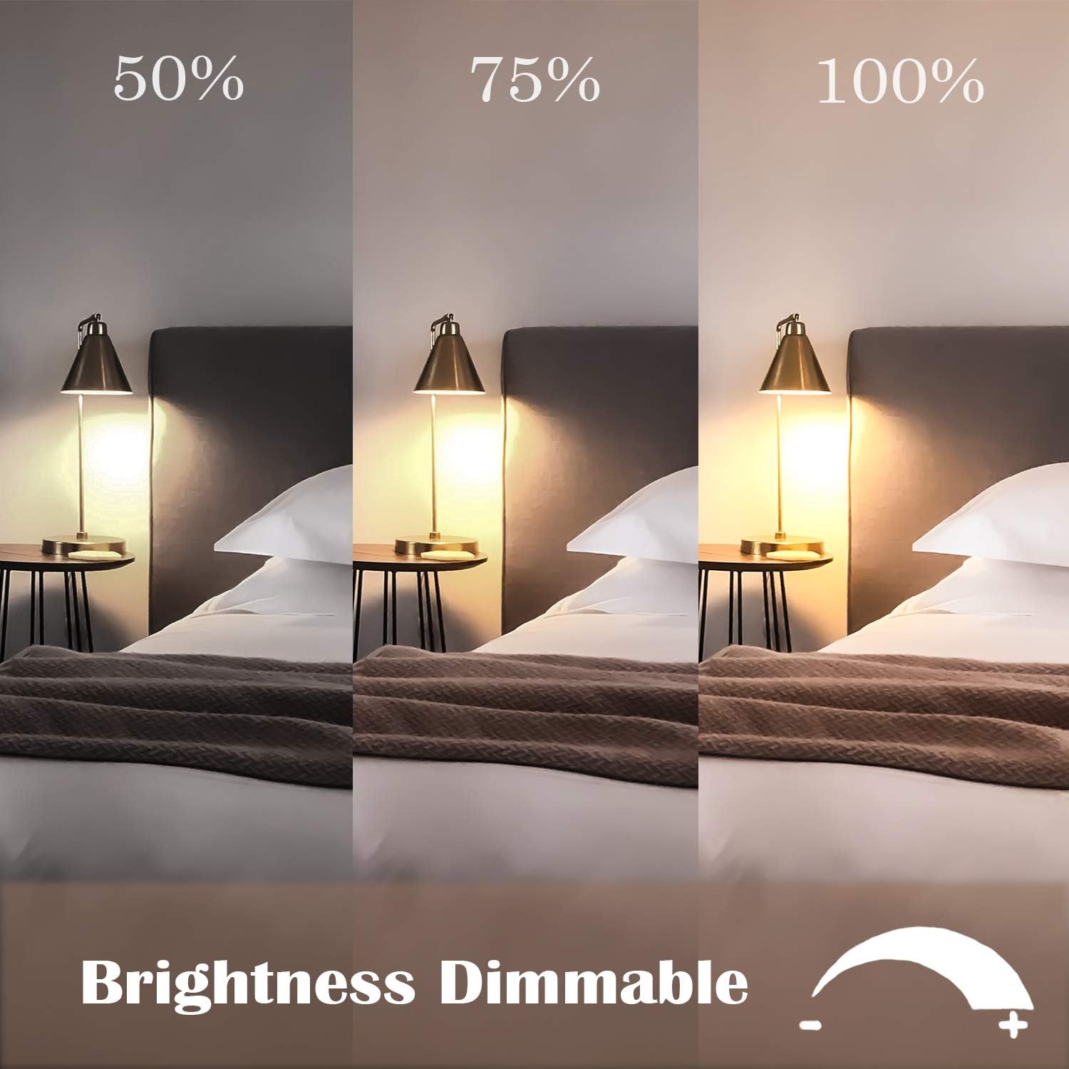 Edison LED Light Bulbs, 4W Vintage Light Bulbs Dimmalbe LED Bulb ST64 Antique LED Bulb Squirrel Cage Filament Light for Decorate Home, E26, 2700K, Clear Glass,Soft Warm White