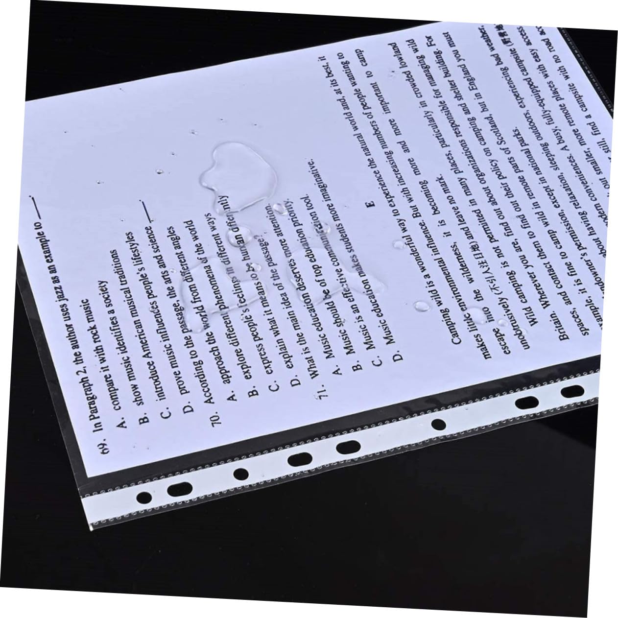 200 Stück Dokumentenhüllen Transparente PP Schutzfolien Beidseitig Klar für Ordner und Schnellhefter Langlebig Leichtes Einlegen für Fotos und Papieraufbewahrung