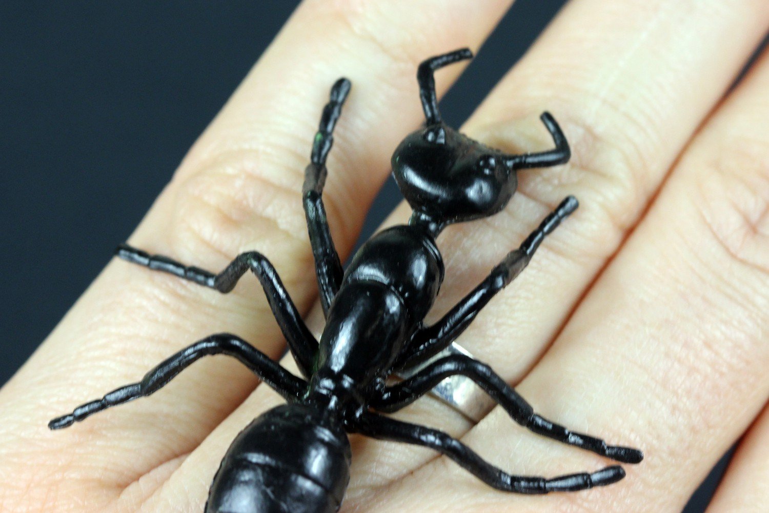 Miniblings Ants Ring Ant Halloween Horror Insect 5Cm, Multicolored, 55mm - Image 2